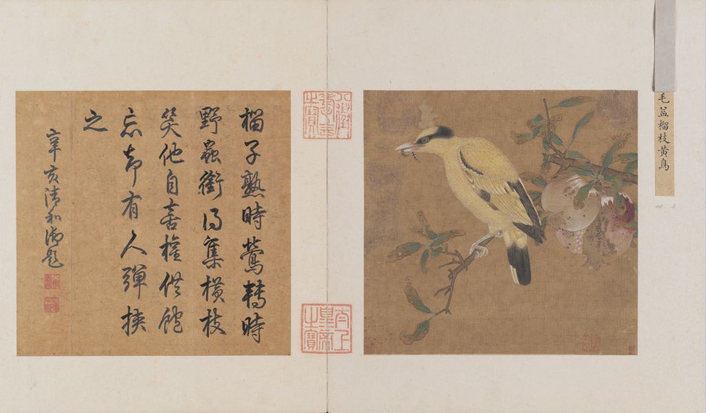 图片[1]-Picture page of yellow bird with pomegranate branches-China Archive